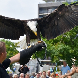 Event show Enschede  (NL) Predator demonstration