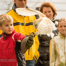 Roofvogeldemonstratie