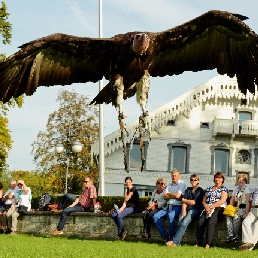 Birds@Work bird of prey demonstrations