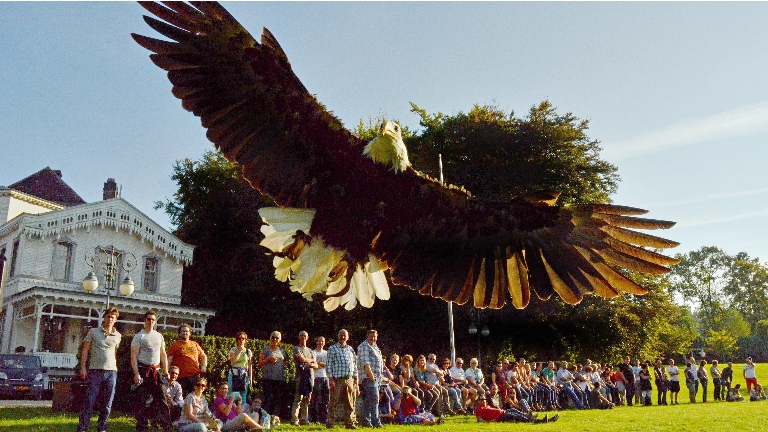 Birds@Work bird of prey demonstrations