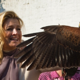 Trainer/Workshop Thorn  (NL) Workshop Koninklijk Vliegen Birds@Work