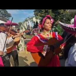 Viva la Vida de Frida Mariachi band