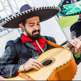 Mariachis - Mariachi serenade music duo