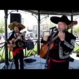 Mariachis - Mariachi serenade music duo