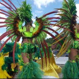 Parade samba danseressen