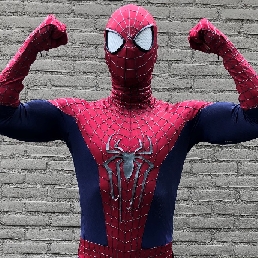 Spider Superhero or Pirate