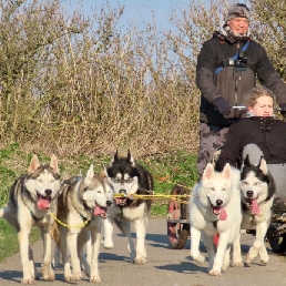 Privérit sledehondenkar & wandeling