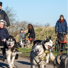 Sport/Spel Nieuwerkerk aan den IJssel  (NL) Privérit sledehondenkar & wandeling