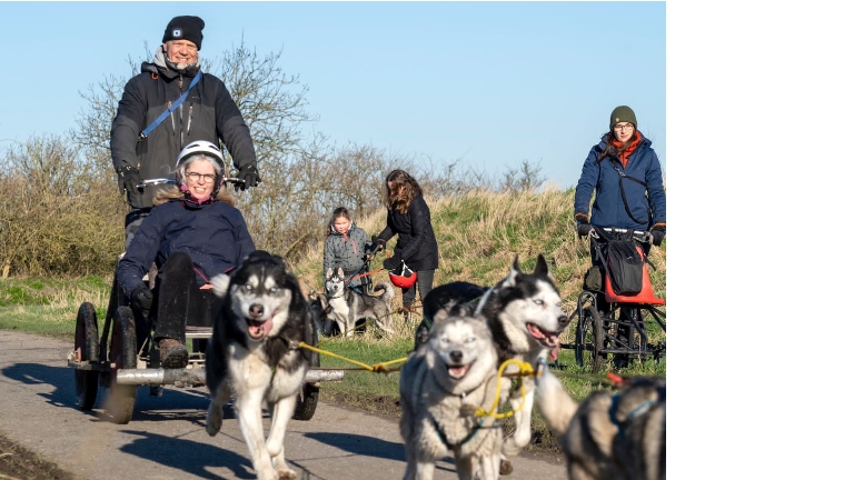 Privérit sledehondenkar & wandeling