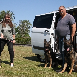 Pakwerk met gecertificeerde honden