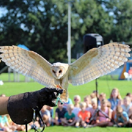 Event show Nieuwerkerk aan den IJssel  (NL) Roofvogelshow / demonstratie