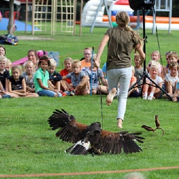 Roofvogelshow / demonstratie