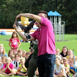 Roofvogelshow / demonstratie