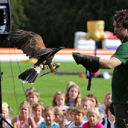 Roofvogelshow / demonstratie