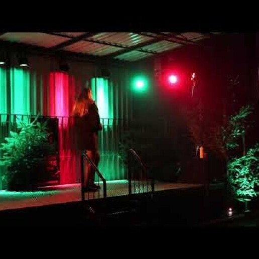 Singer (female) Delft  (NL) Jeanna | Christmas Medley