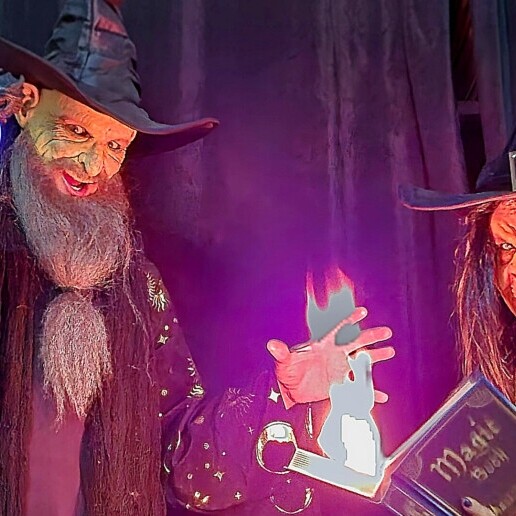 Magician Ridderkerk  (NL) hocus VS pocus - the magical duel!