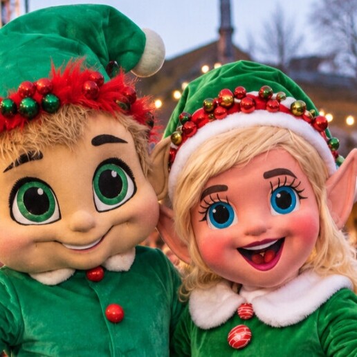 Karakter/Verkleed Ridderkerk  (NL) Mascotte(s): Kerst Elven