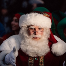 Beautiful professional Santa Claus
