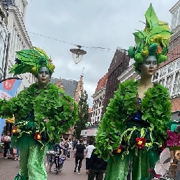 Animatie Leeuwarden  (NL) Steltlopers Bomen