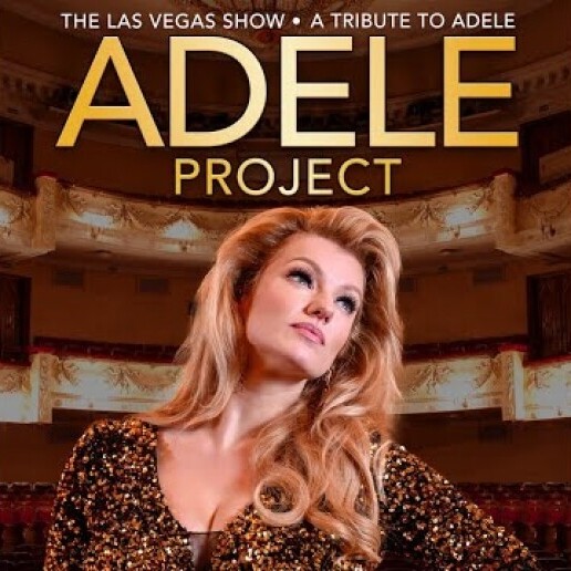 Singer (female) Hazerswoude Dorp  (NL) ADELE Project -Tribute- Acoustic set