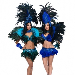 Dansgroep Amsterdam  (NL) Latijnse Dansshow