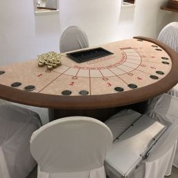 Sport/Spel Wormerveer  (NL) Paardenrennen huren (inclusief croupier)