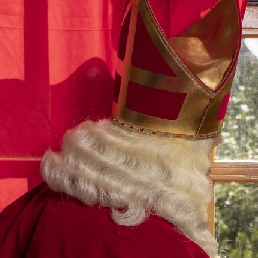 Sinterklaas met Pieten op uw bedrijf!