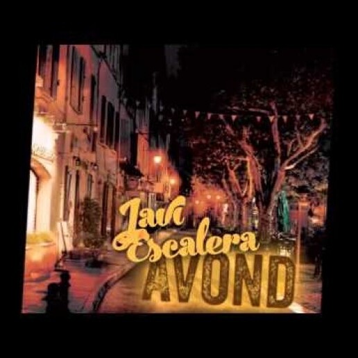 Singer (male) Ridderkerk  (NL) Ceremony Singer or Singer/Guitarist