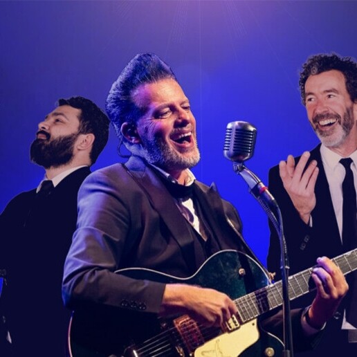 Band Utrecht  (NL) Rock Classic band - The Handjives