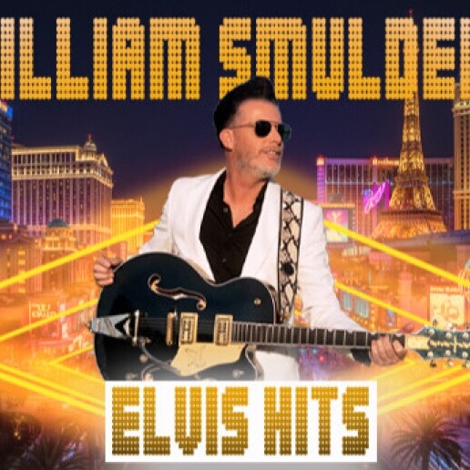 Singer (male) Utrecht  (NL) ELVIS PRESLEY singer - Tribute tape act