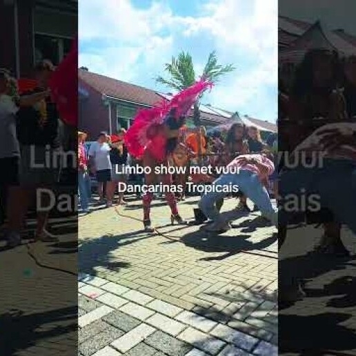 Limbo Vuur Show