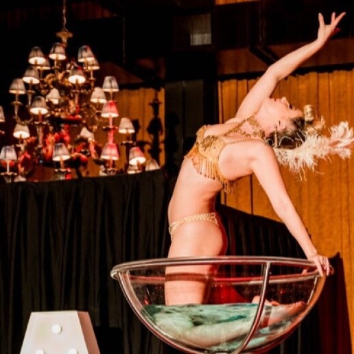 Dancer Amsterdam  (NL) Hosting- Champagne lady in glass