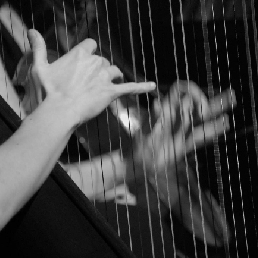 Harpist Bergen op Zoom  (NL) Harp achtergrondmuziek, Harpist Irem