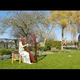 Harp background music, Harpist Irem