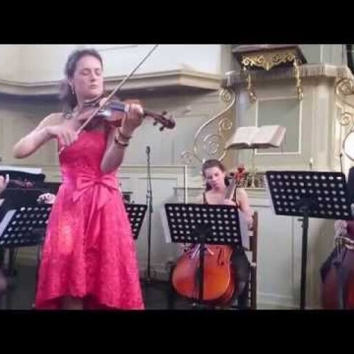 Violinist Hasselt  (NL) Singing & Violin: Wedding-Events-Farewell
