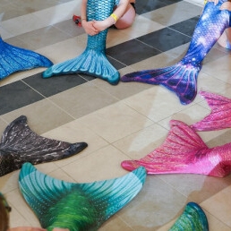 Animatie Arnhem  (NL) Celine: Mermaid Birthday Parties