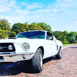 Party vervoer Rijswijk  (Zuid Holland)(NL) Peter: 60s Mustangs