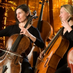 Muzikant overig Warfhuizen  (NL) celloduo "Celladon"