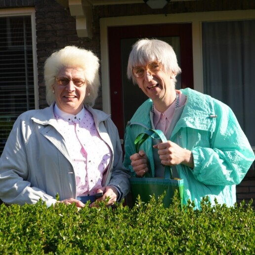 Animatie Nieuwegein  (NL) Gerimpelde Partycrashers - Van Televisie