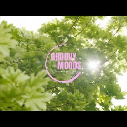 Groovy Moods