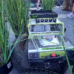 Kindervoorstelling Zaltbommel  (NL) Radiografische auto's