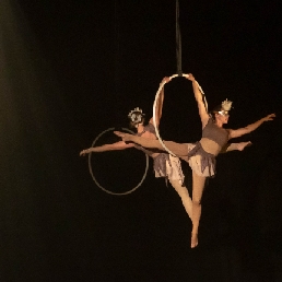 Aerial acrobatics in hoop - Aerial Hoop