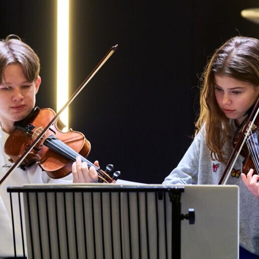 Violinist Den Bosch  (NL) Duo Cantabile - Violin Duo