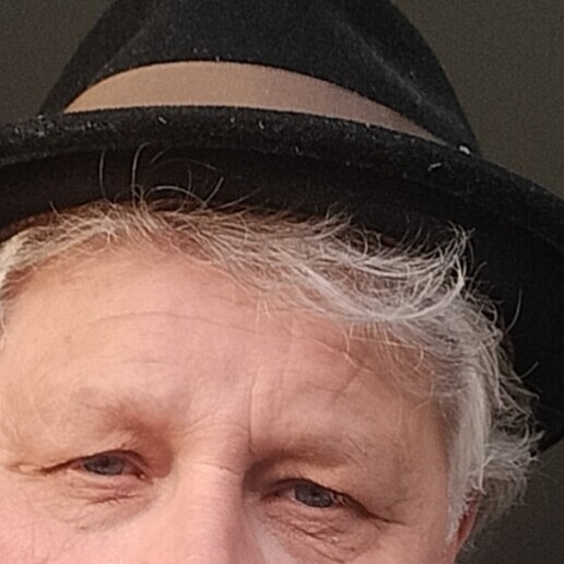 Zanger Dordrecht  (NL) Crooner