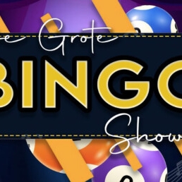 The Great Bingo Show