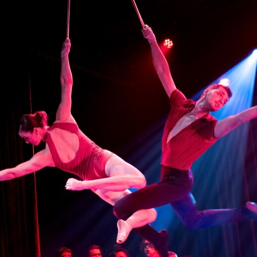 Acrobat Hamme  (Oost-Vlaanderen)(BE) Custom aerial acrobatics act - WOLK