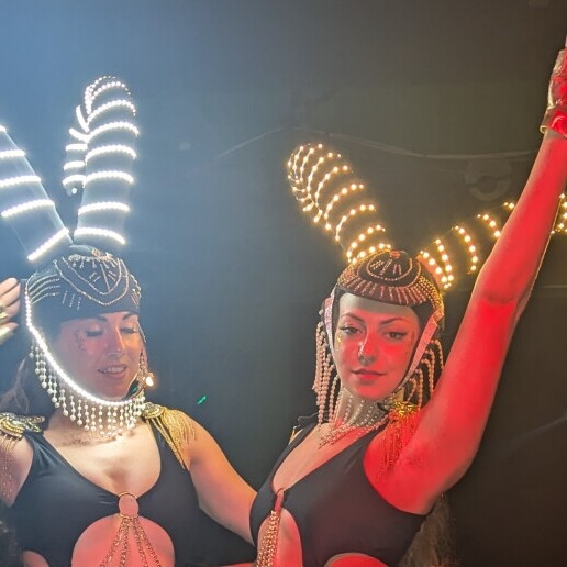 Danser Amsterdam  (NL) Illuminatie Divas – LED Danceshow