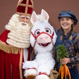 Horse of St. Nicholas in shopping mall