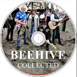 Band Nederland  (NL) BEEHIVE Country Rock’n Roll band