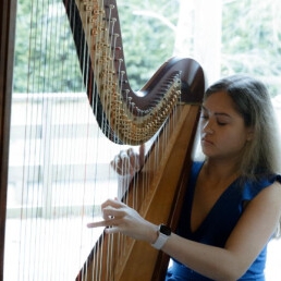 Harpist Tilburg  (NL) Harpiste, Laura van der Kloet